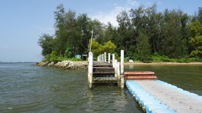 Small wooden dock with blue walkway on a calm lakeshore, beside trees and a rocky shoreline