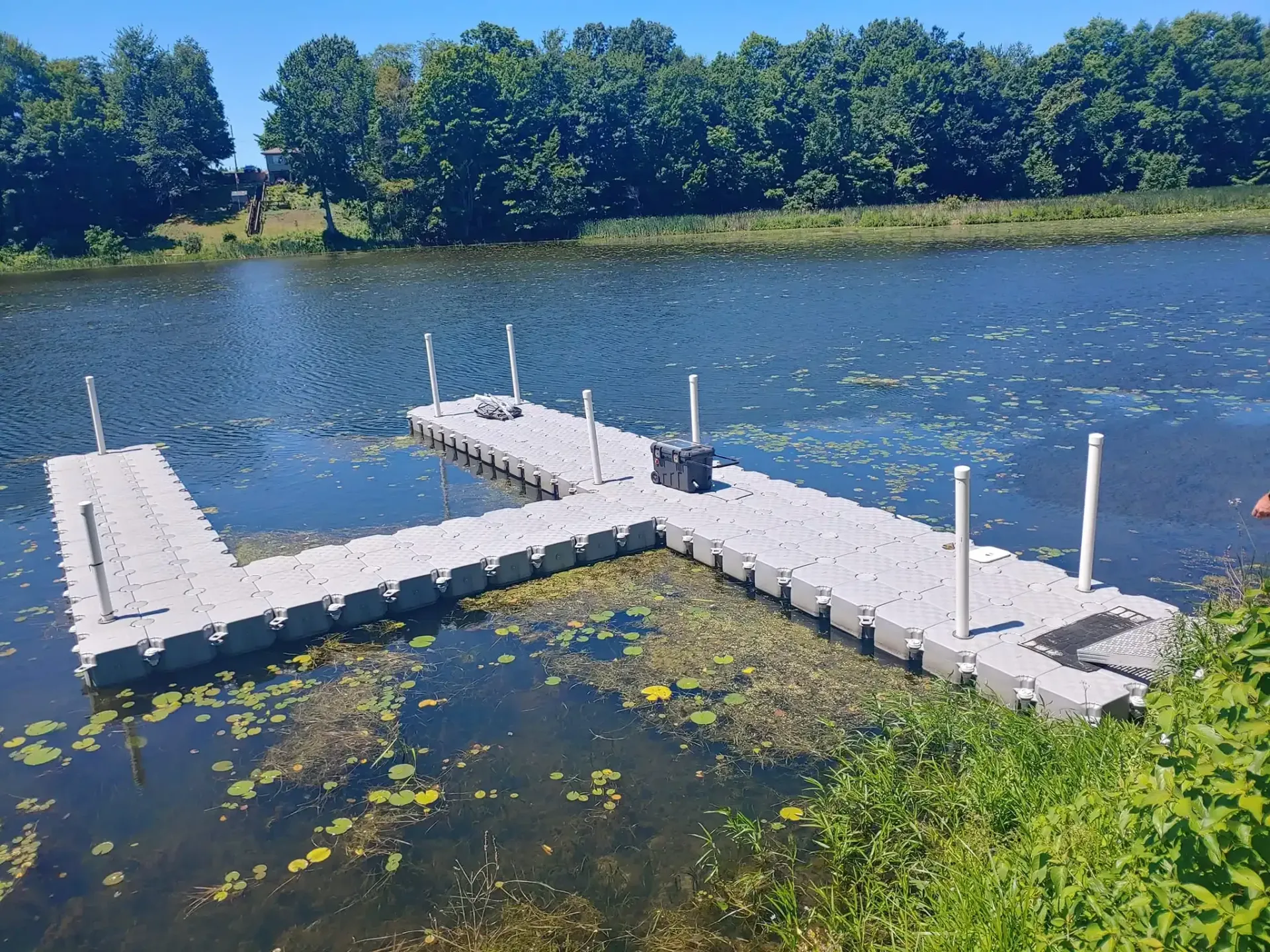 Floating white dock on a blue lake with green lily pads and trees along the shore