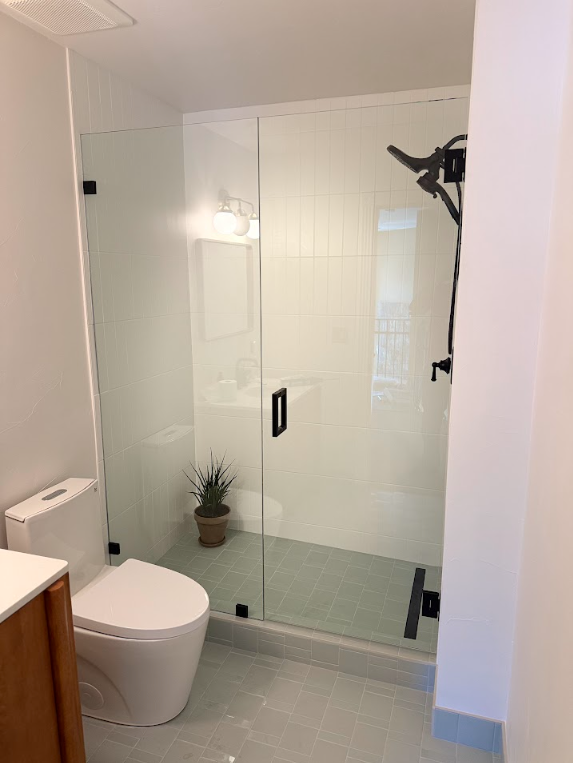 A modern bathroom with a white toilet next to a glass-enclosed shower featuring black hardware and a small potted plant.