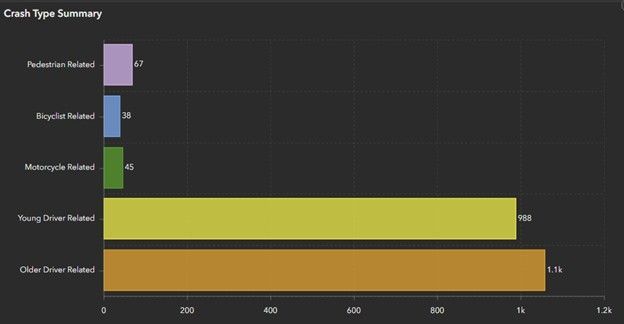 Bar chart titled “Crash Type Summary” showing older driver and young driver counts highest.