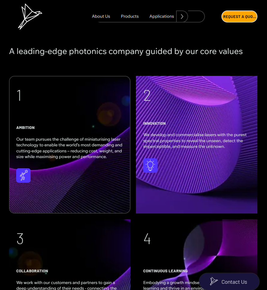 Skylark Lasers Web Design