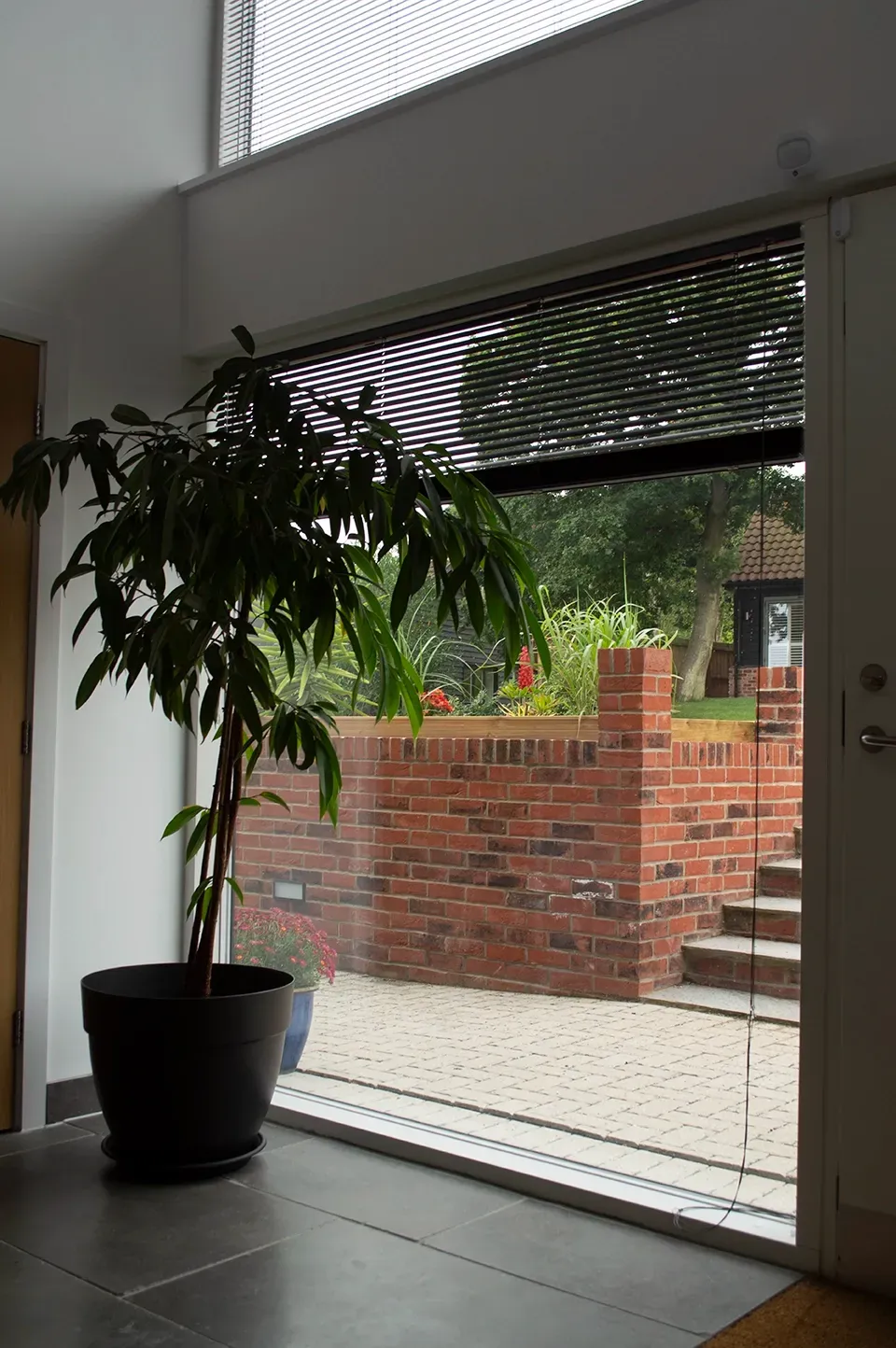 A potted plant sits in front of a sliding glass door