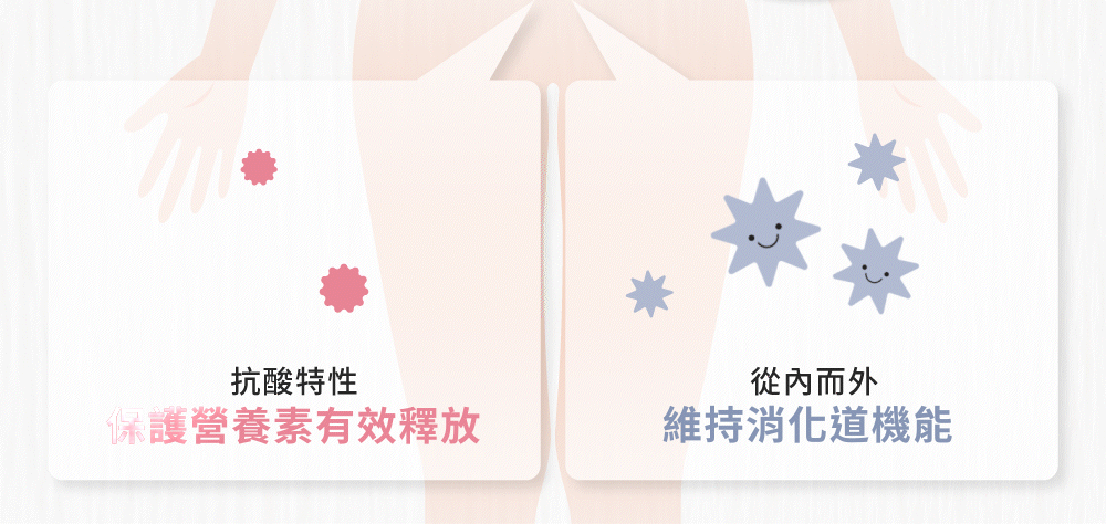 人體結構示意圖，展示了其抗酸和消化功能。兩側分別標示粒子和中文文字。