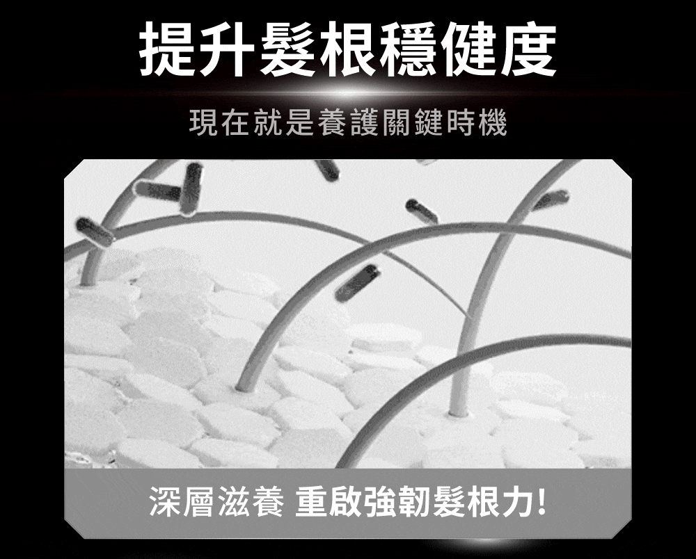 黑白頭髮和頭皮示意圖。文字內容為“改善髮根健康”，旨在推廣護髮理念。