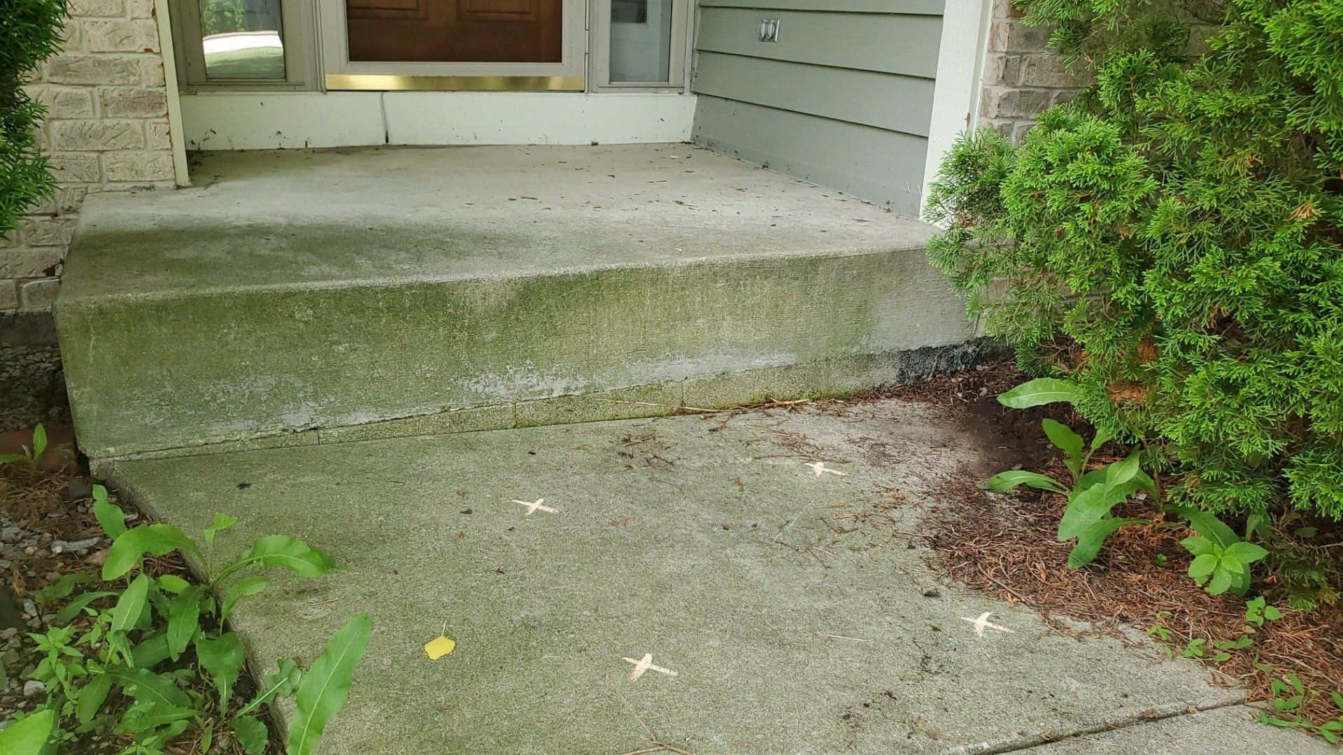 Commercial Concrete — Concrete Way With Grasses in New Berlin, WI Commercial Concrete — Concrete Way With Grasses in New Berlin, WI