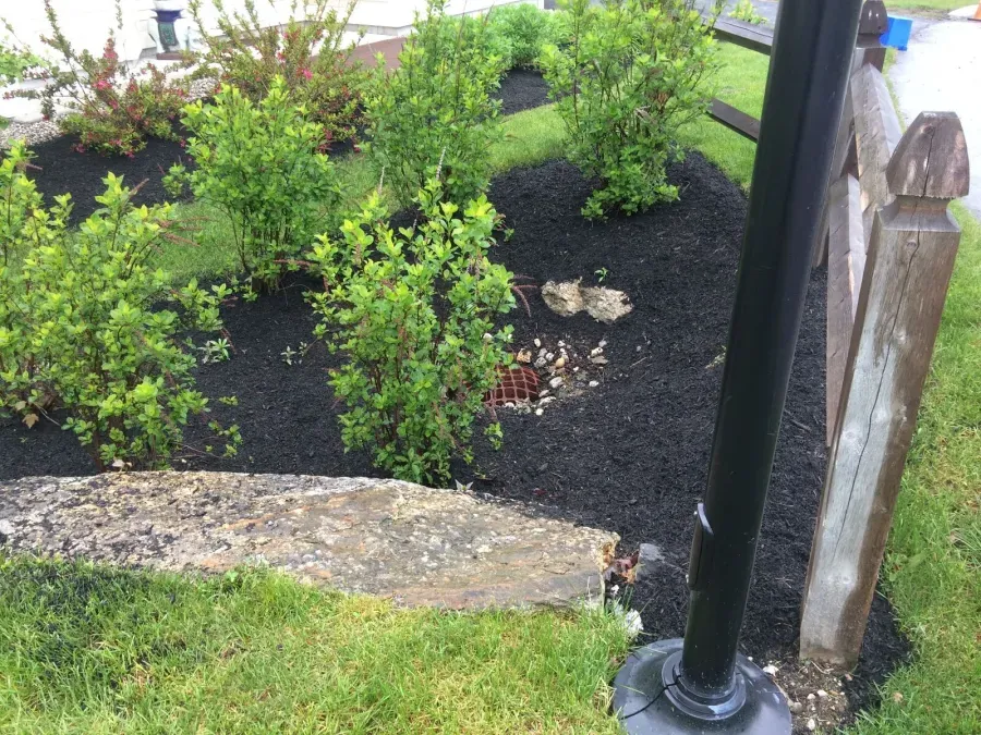 A black pole is sitting in the middle of a garden next to a fence.