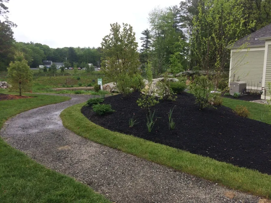 A gravel path going through a lush green yard