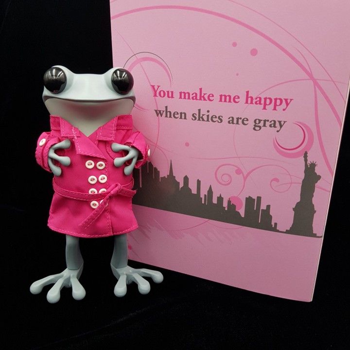 Gray frog figurine in a bright pink trench coat, arms crossed, on black background.