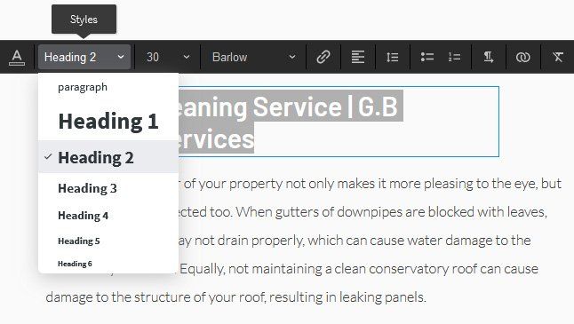 Infoserve's wesbite editor headings