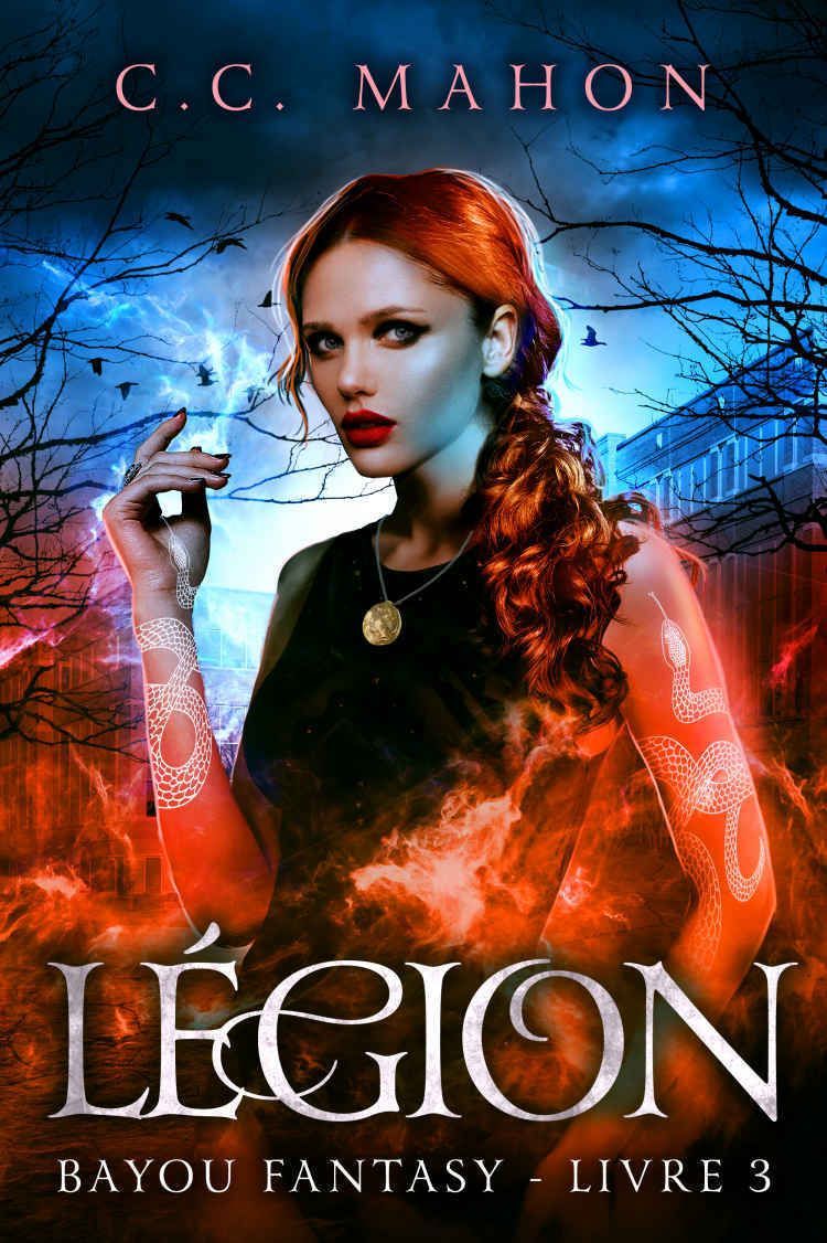 Illustration du livre « Légion »