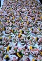 Conchiglie di mare