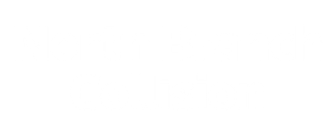 North Branch Collision