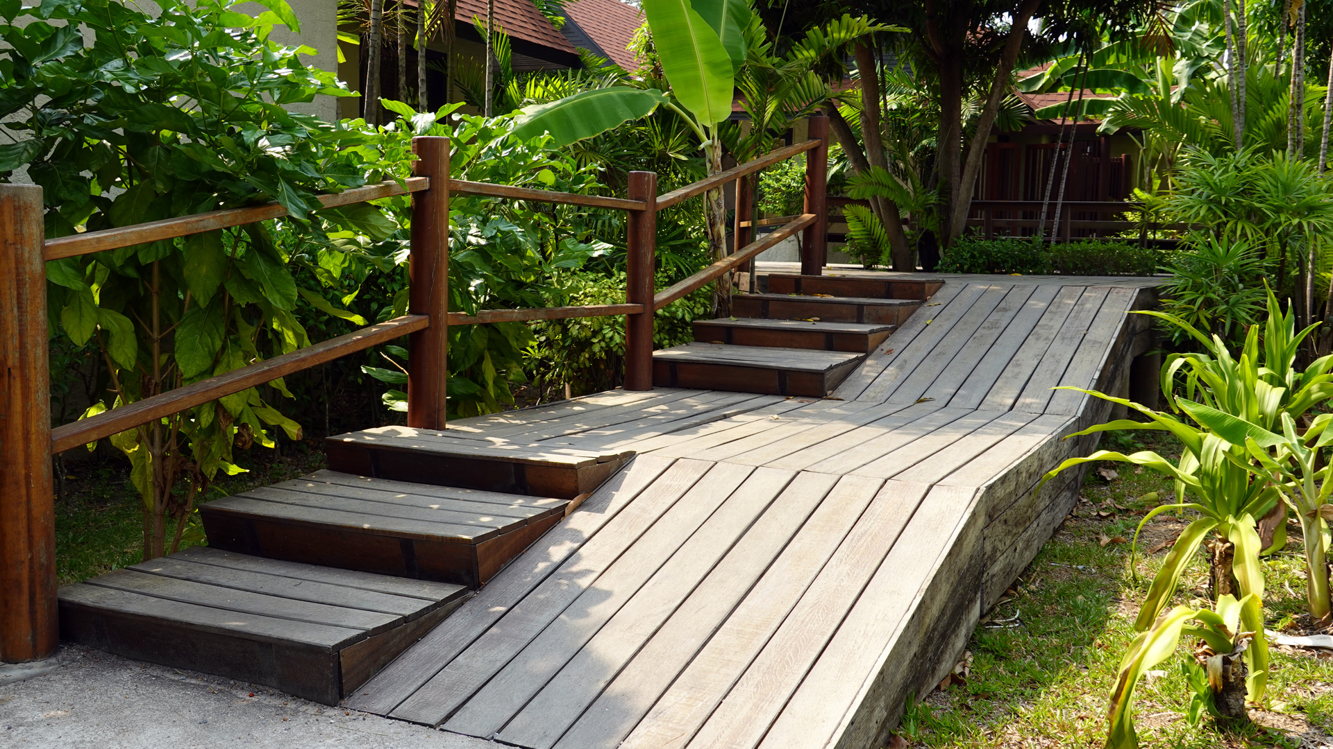 Wooden ramp and steps with railing through lush green vegetation.