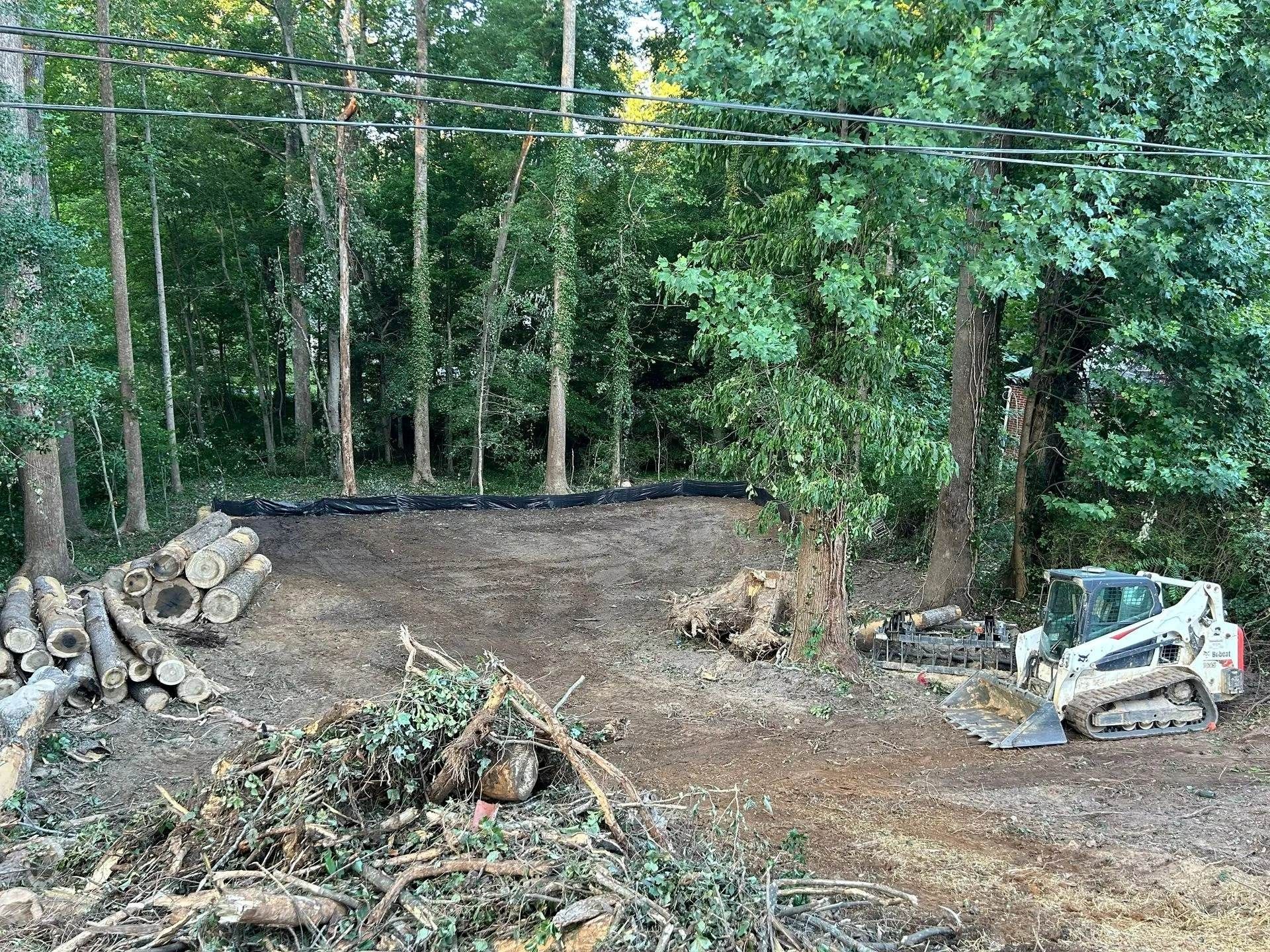 A white skid steer loader parked next to cleared land with piles of logs and brush in a wooded area.