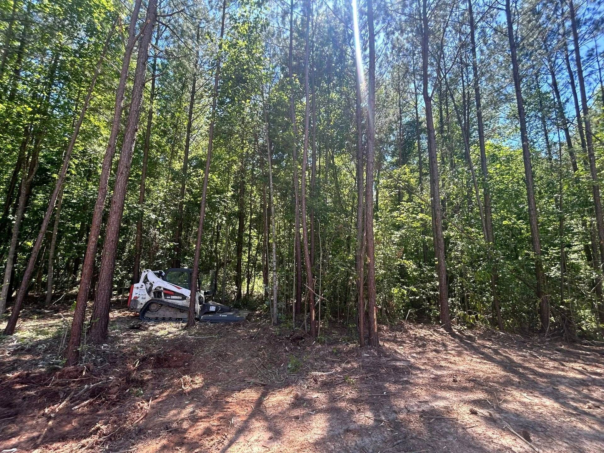 A white Bobcat skid-steer parked at the edge of a dense, sunlit forest with tall pine trees and thick underbrush.