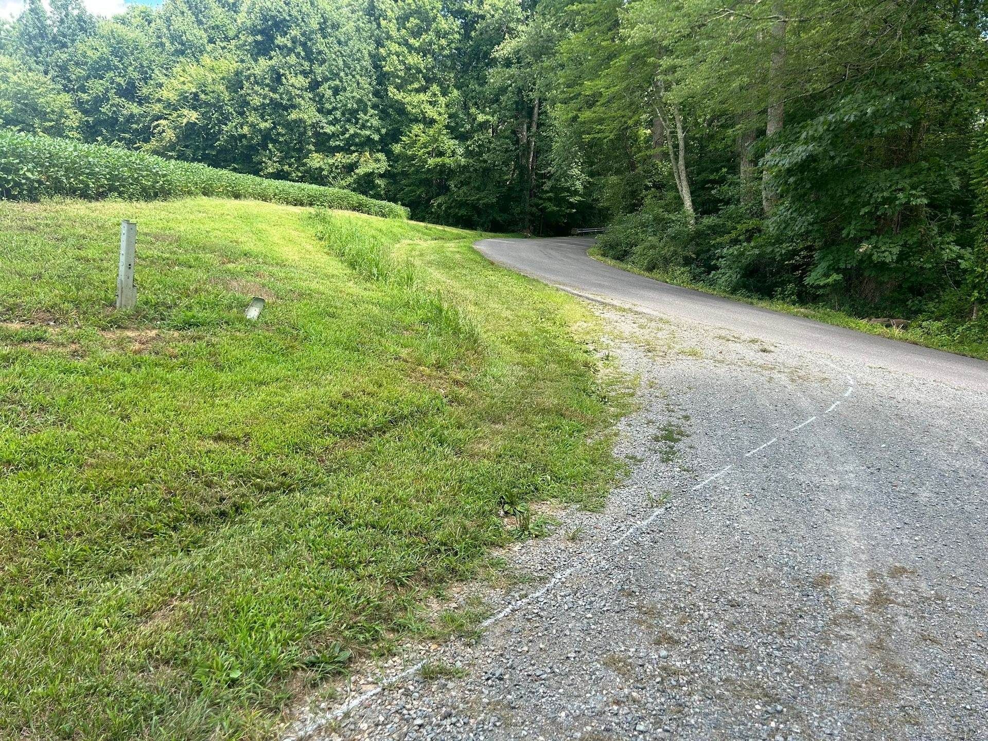 A gravel path winds through a green, grassy meadow alongside a dense forest and a field of crops.