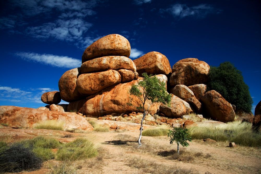 A Tree Is Standing In Front Of A Pile Of Rocks — PK Crash Repairs In Tennant Creek, NT