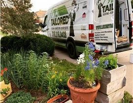 A white van with