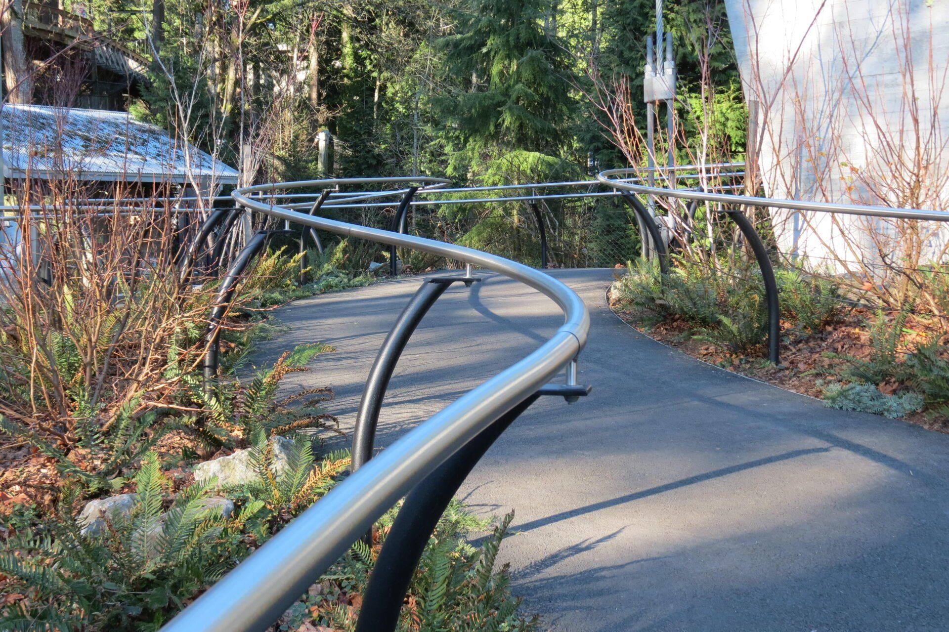 Curving paved path with metal handrails through a wooded area.