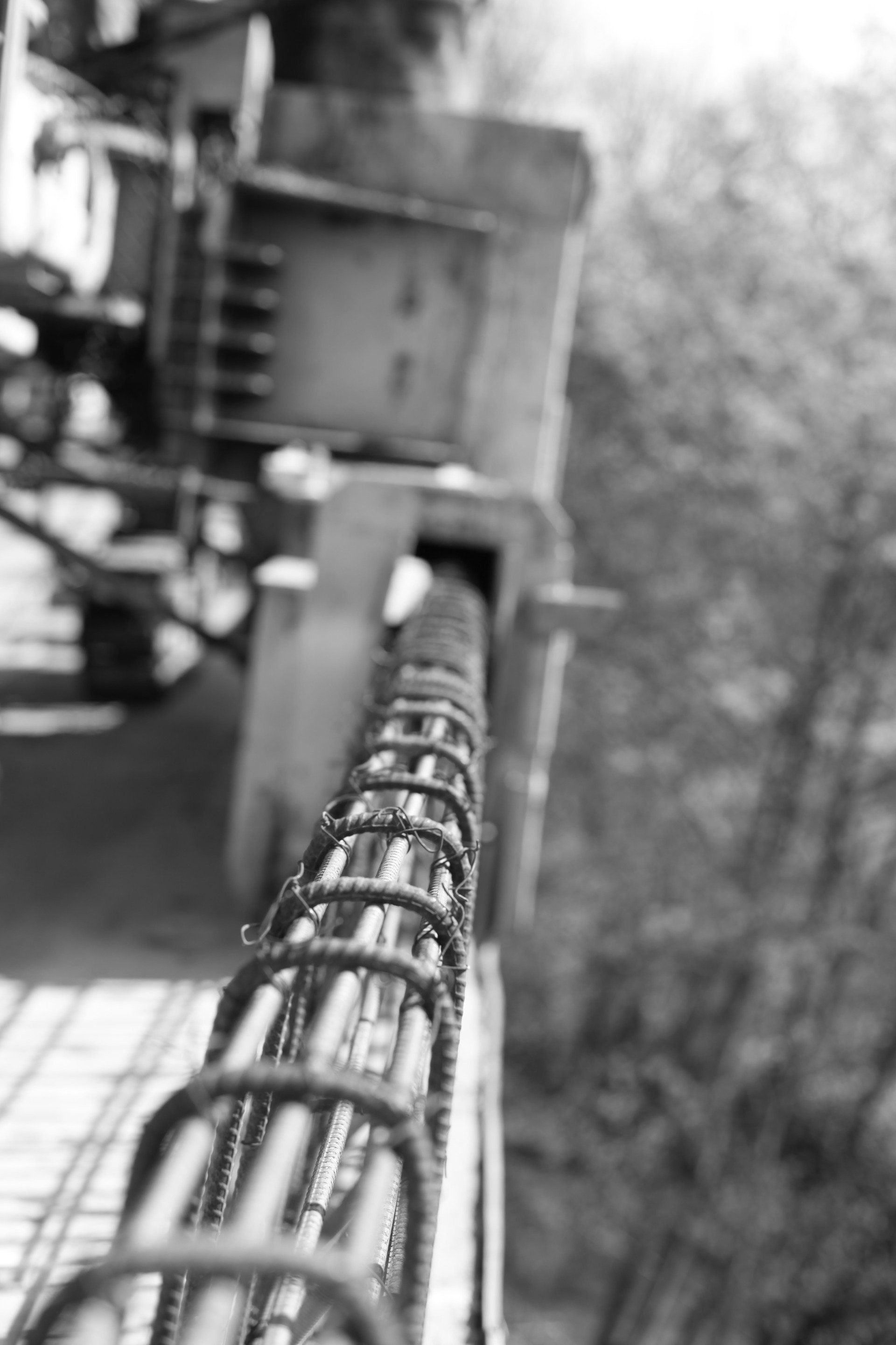 Close-up of rebar reinforcing steel, likely for a construction project, with out-of-focus background.