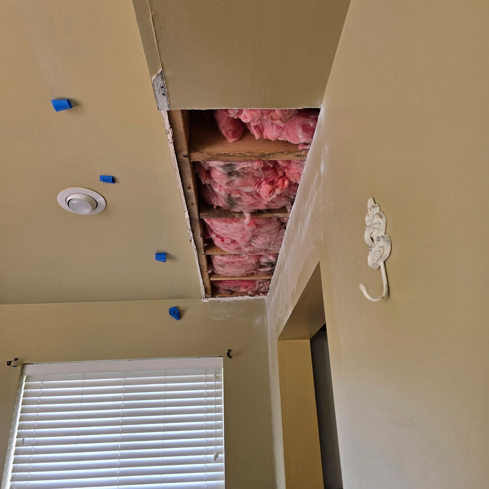 Ceiling with a large opening exposing insulation, next to a doorway and a window with blinds.