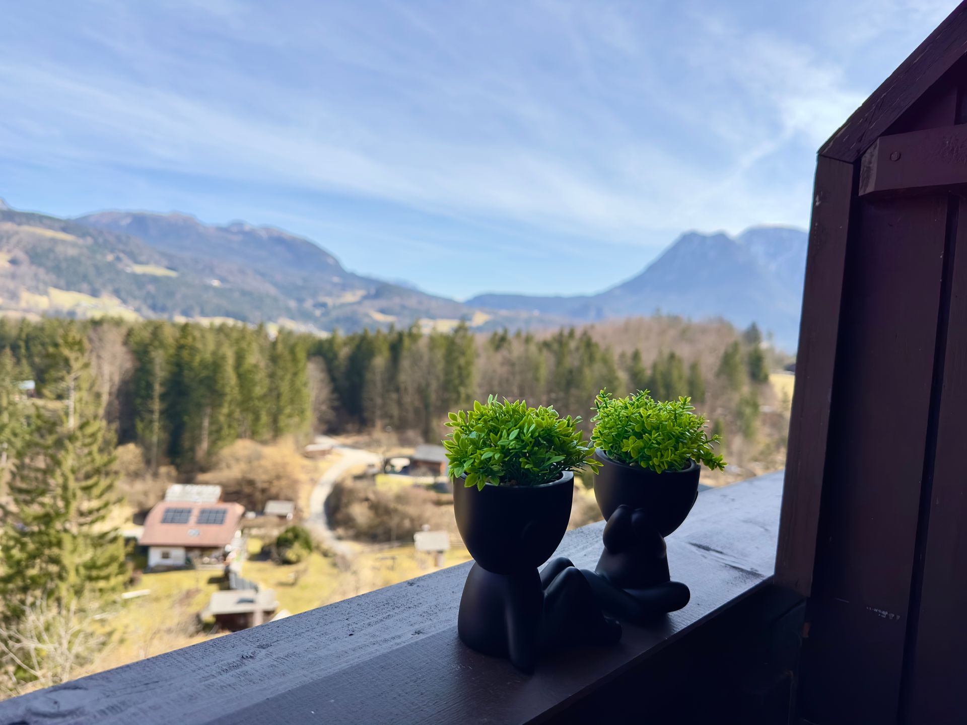 Zwei kleine Topfpflanzen auf einem Fensterbrett mit Blick auf Berge, Bäume und Häuser