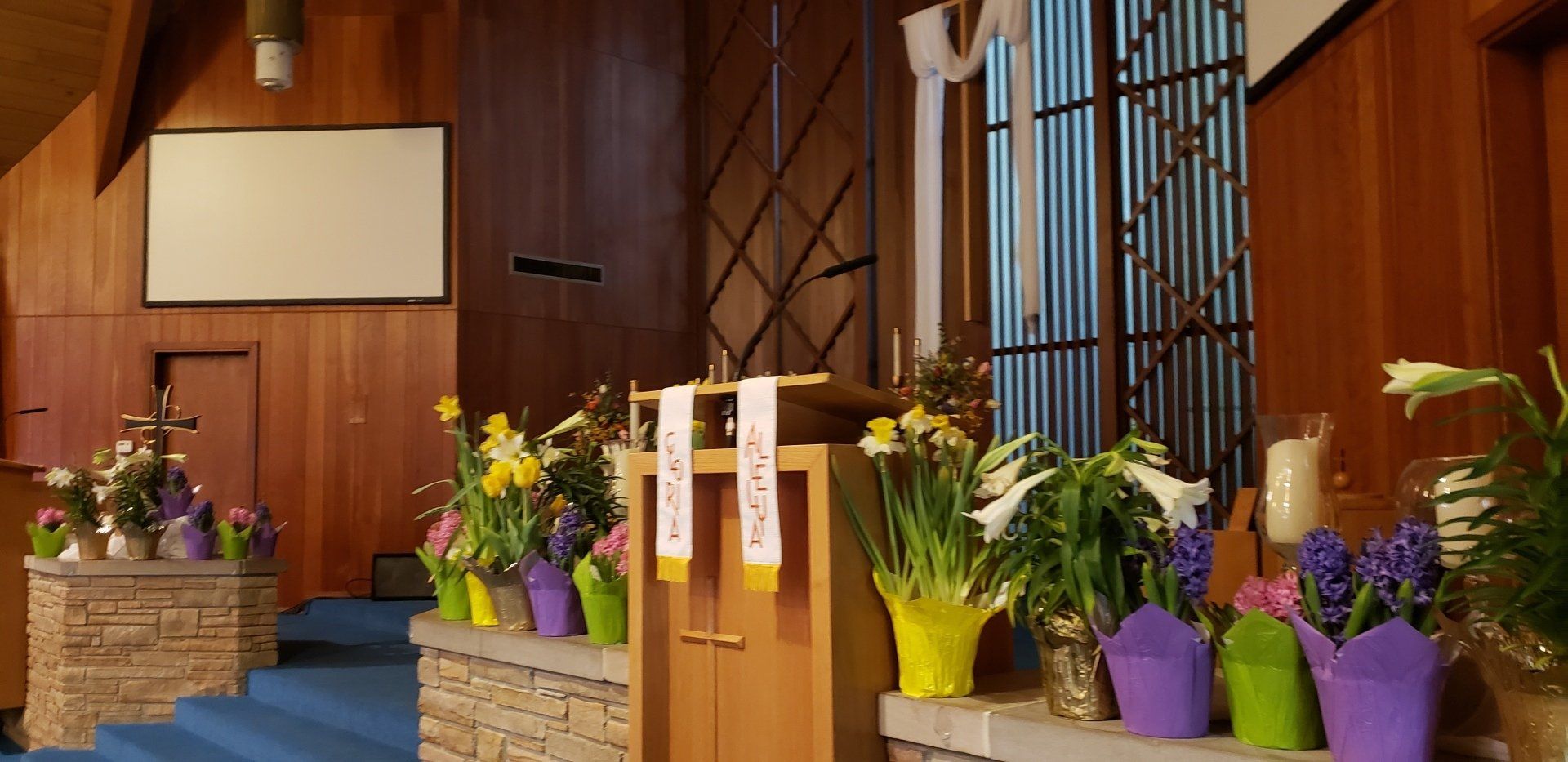 Church sanctuary altar decorated with colorful floral arrangements and purple cloths near a wooden lectern
