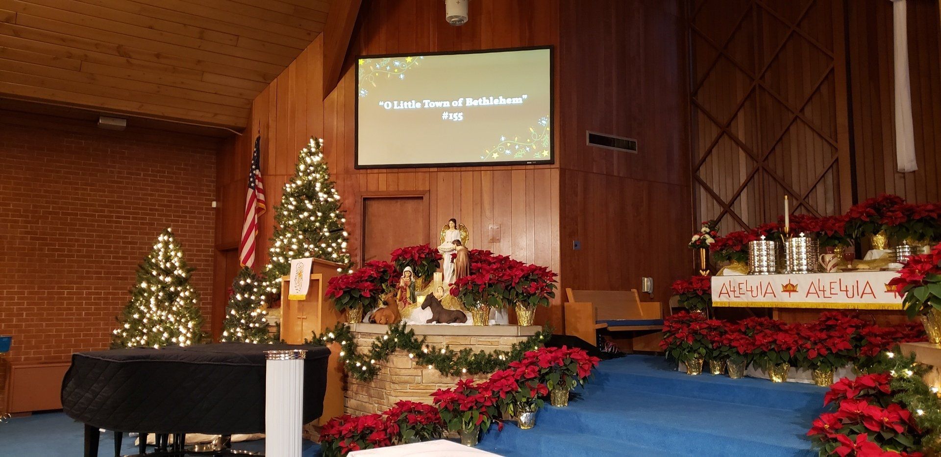 Church sanctuary decorated with Christmas trees, wreaths, and red poinsettias near a lit stage and screen