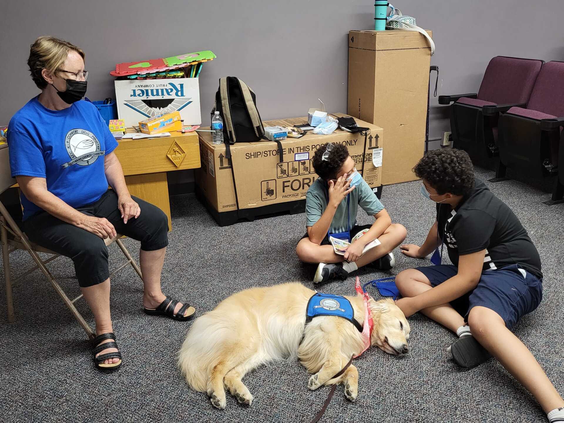 People seated around a sleeping golden retriever in a room with boxes and chairs