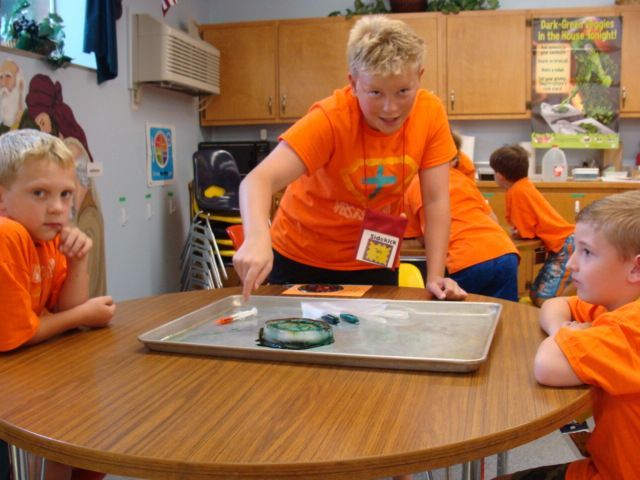 Children in orange shirts watch a tabletop activity in a classroom