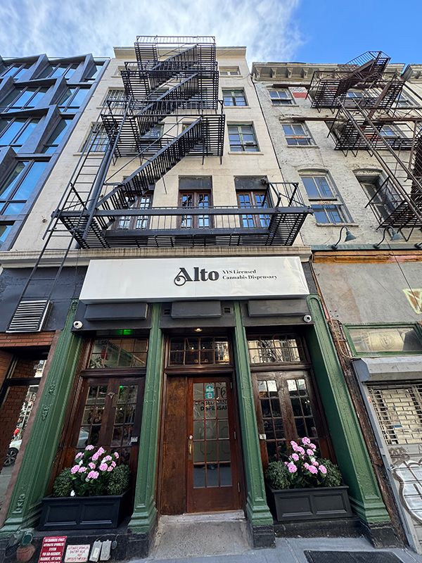 Back Room Alto Floral