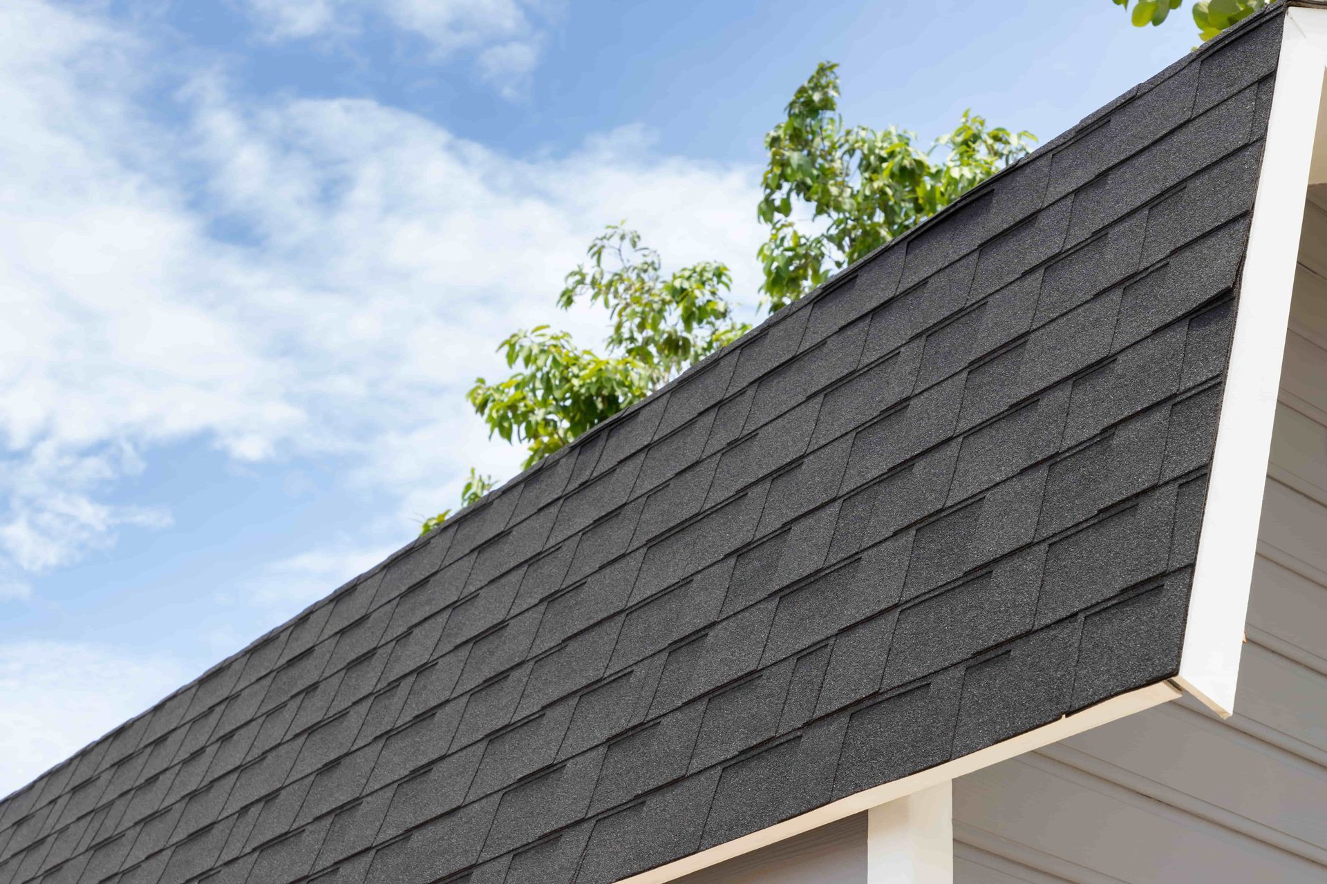 Close-up of a dark gray shingled roof with white trim against a blue sky and trees