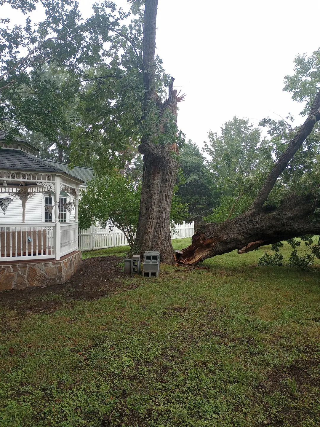 Large tree fallen across a grassy yard beside a white gazebo and fence in a wooded park