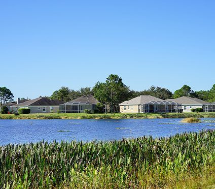 AQUATIC PLANTING + LITTORAL MAINTENANCE