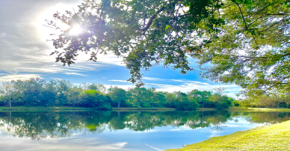 Welcome to Sunwest Waterway Management
