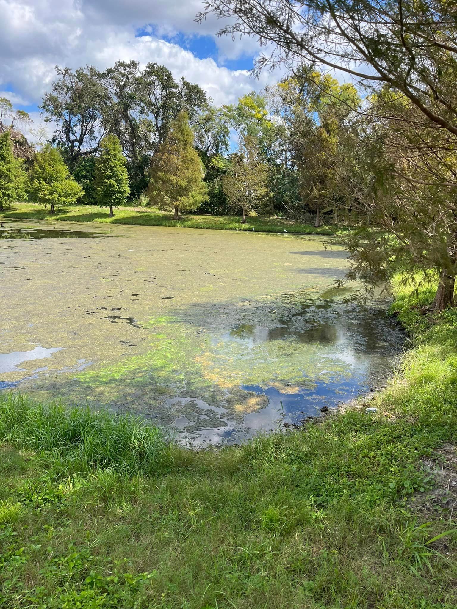 ALGAE + WEED CONTROL
