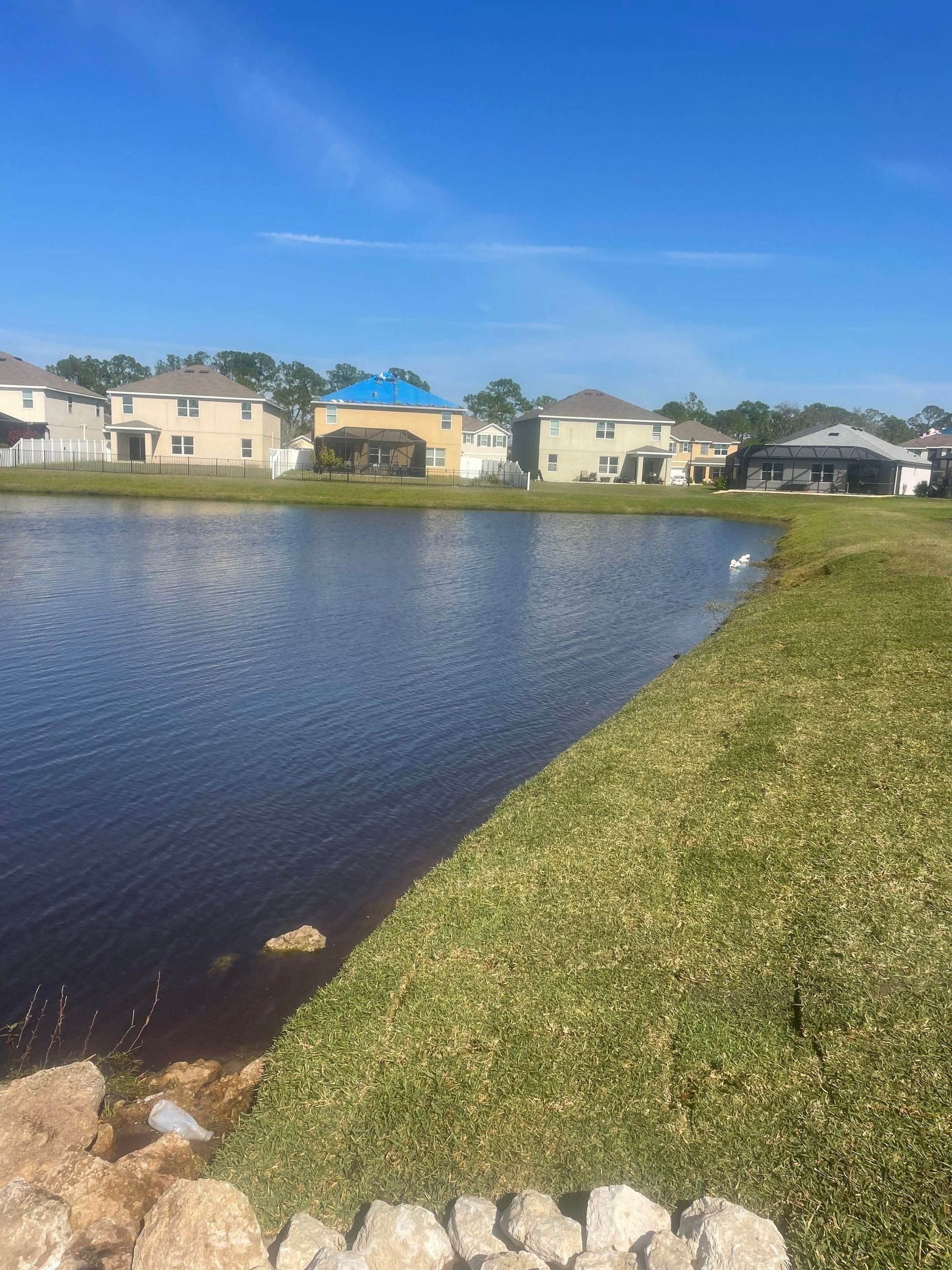 Lakeside view of houses under a clear blue sky with a grassy bank.