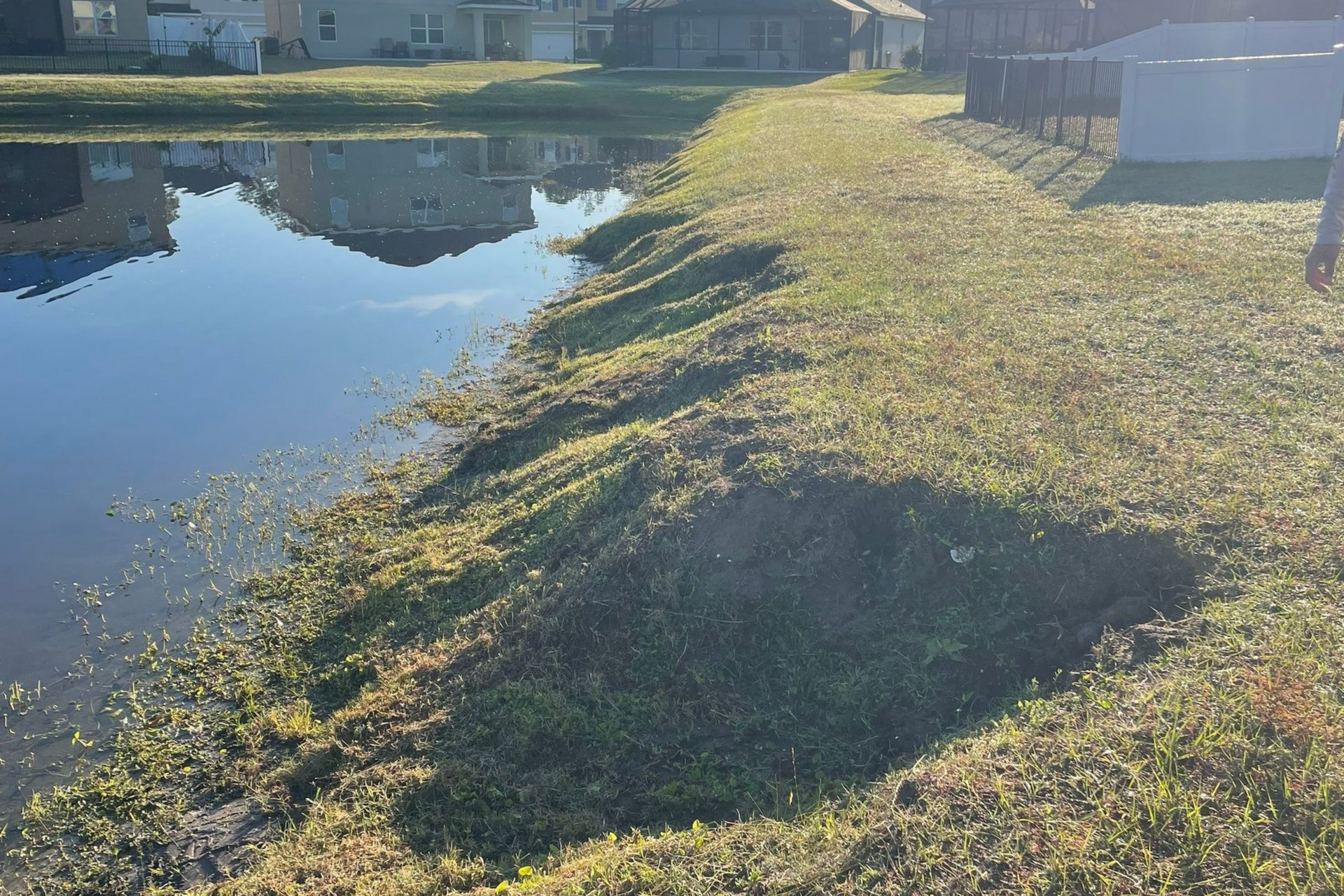 Lakeside grassy bank with eroded patches; houses in background, sunny day.