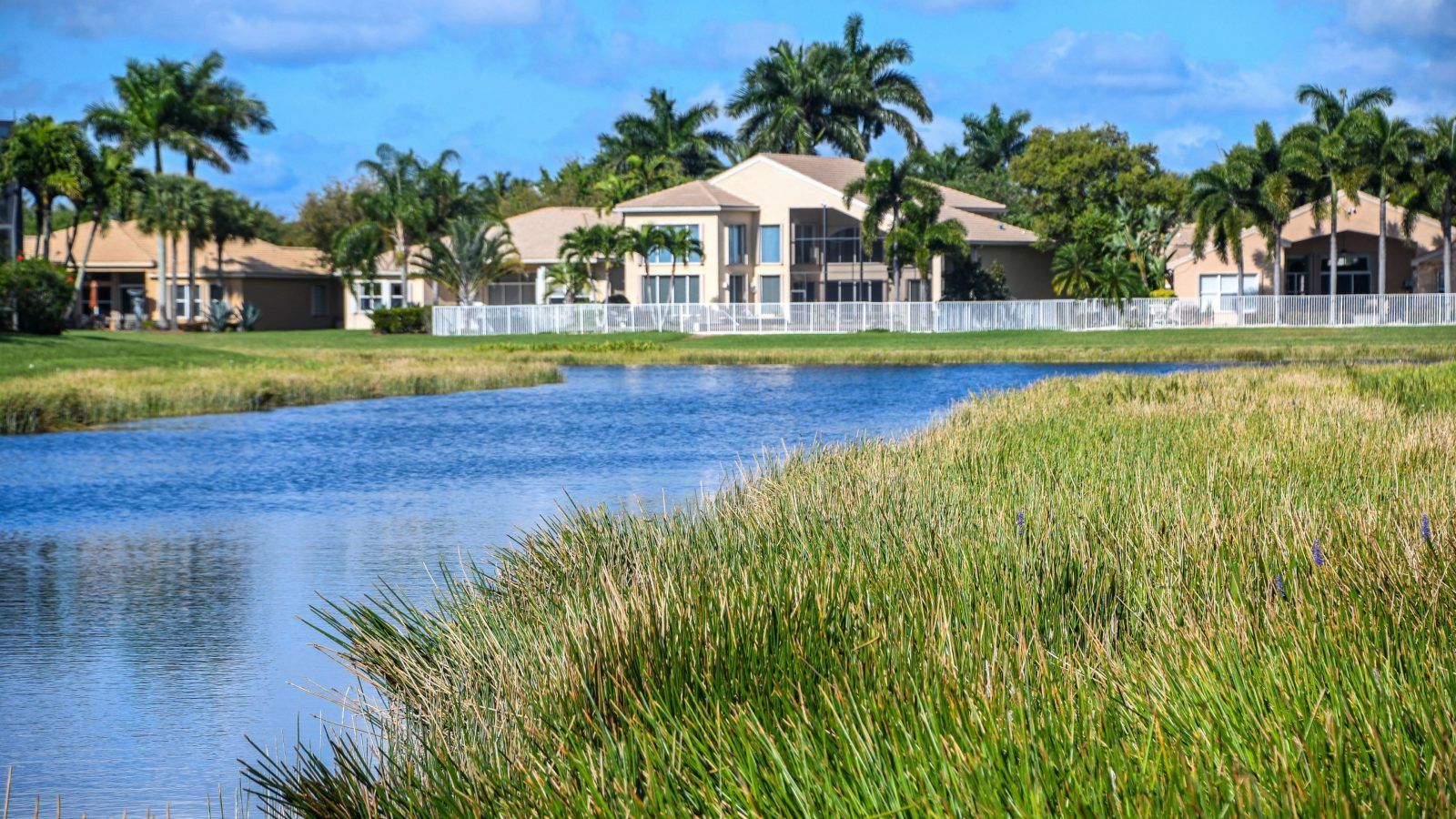 AQUATIC PLANTING + LITTORAL MAINTENANCE