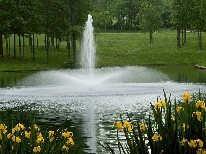 beautiful ponds