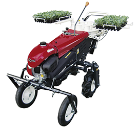 Transplantadeira PH1-WA
