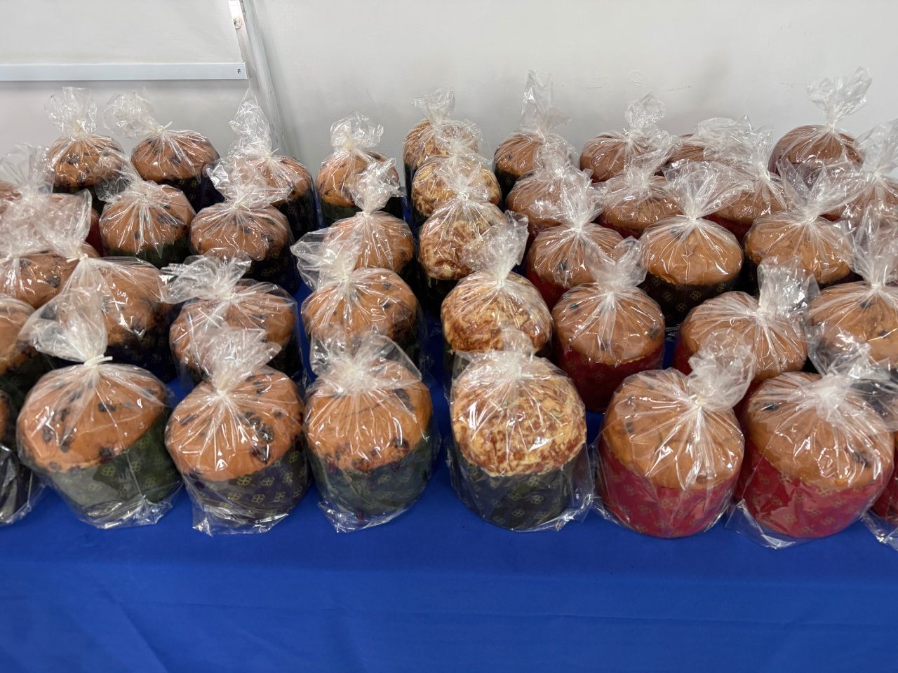 Fileiras de bolos de frutas embrulhados em celofane, sobre uma mesa azul.