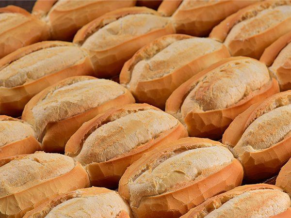 forno lastro fit 46 pao frances