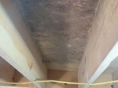 Wooden ceiling with visible mold growth between beams.