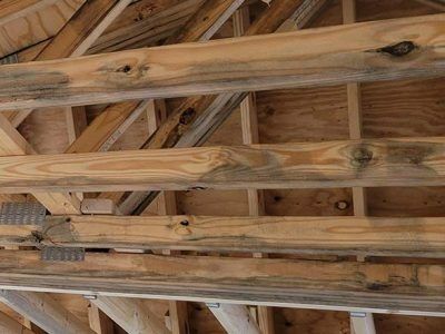 Wooden ceiling beams with dark blue-gray discoloration, possibly mold or mildew, visible in an unfinished structure.