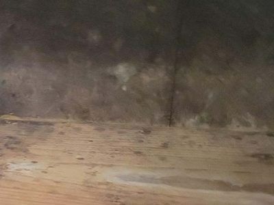 Wooden surface with dark stains, possibly mold, and a dark wall.