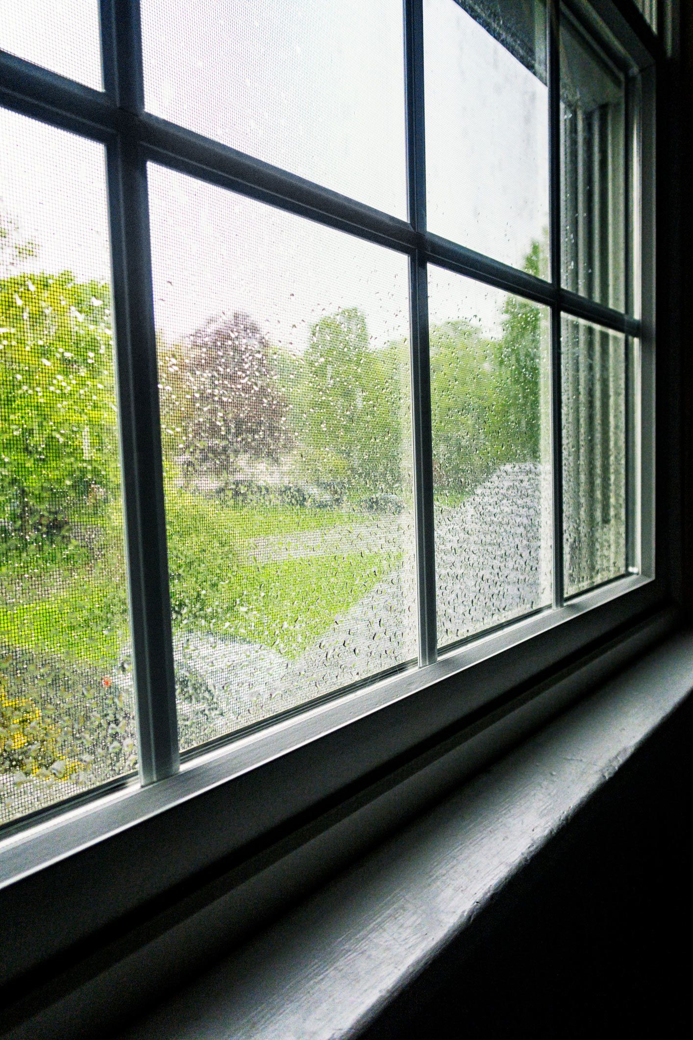 A close up of a window with a view of a garden.