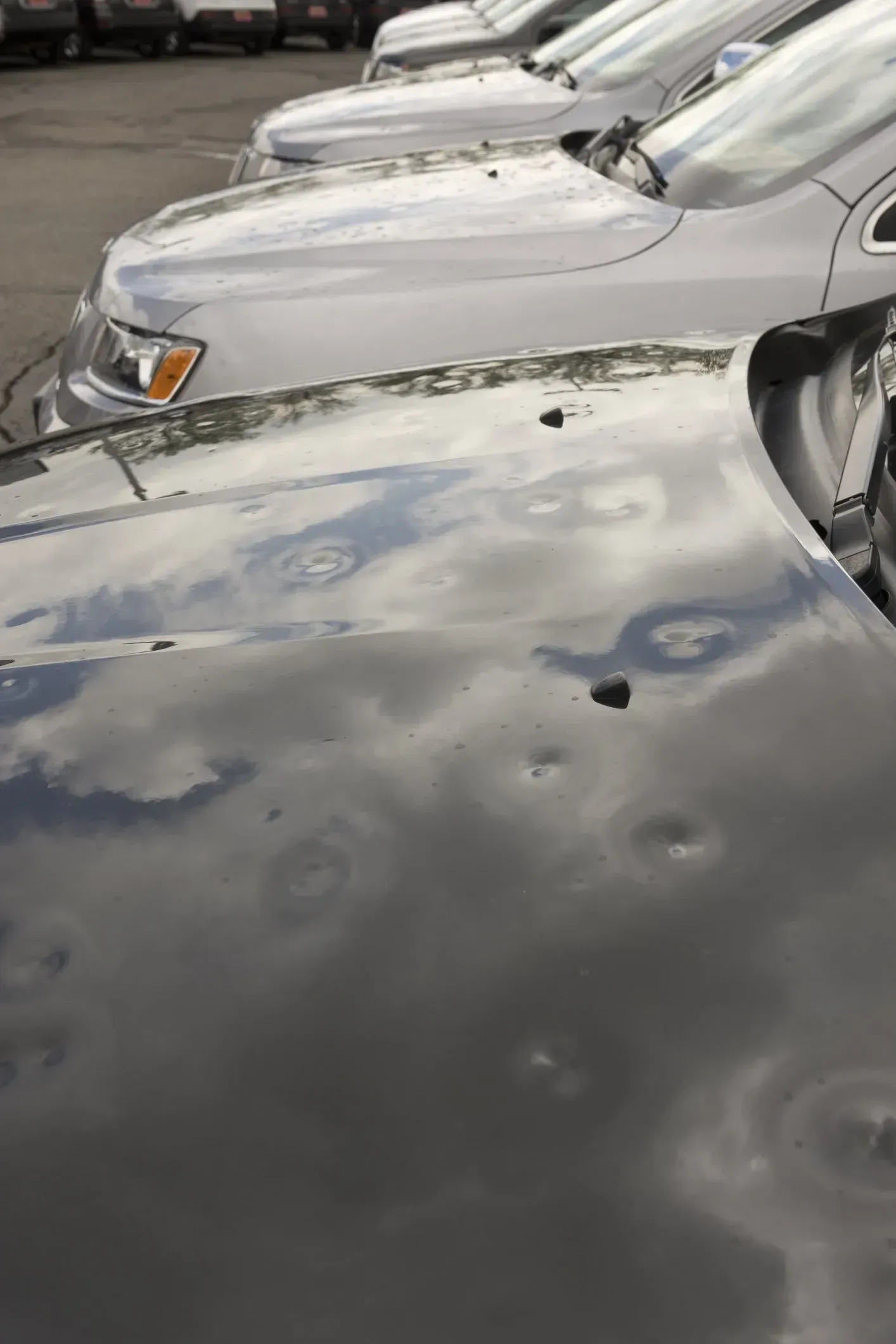 Dent Damage Hood - NE, United States - Sealey Body Shop