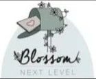 Blossom-logo met een grijze winkelwagen en een hart op een lichtgekleurde achtergrond, met de tekst 