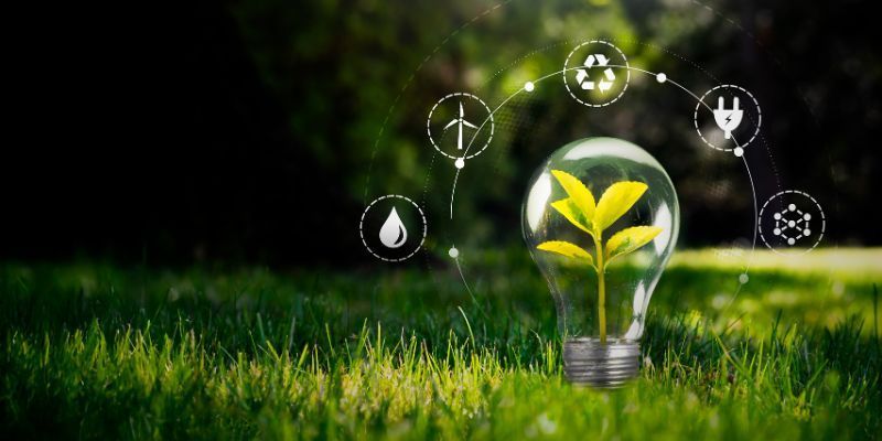Una piantina verde cresce all'interno di una lampadina in un prato, con icone ecologiche che le fluttuano intorno.